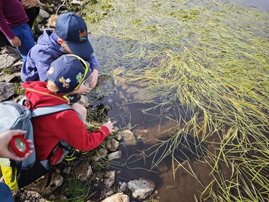 © Naturschutzverein Verwall