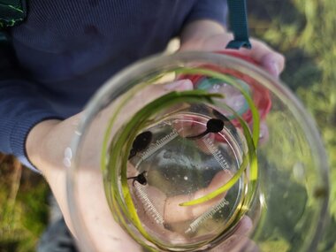 © Naturschutzverein Verwall